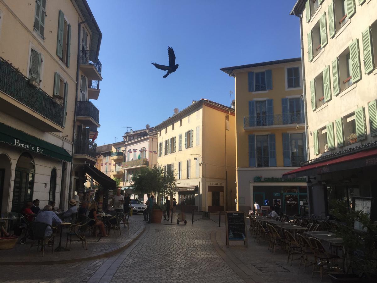 Villa Rocamar Vence Esterno foto