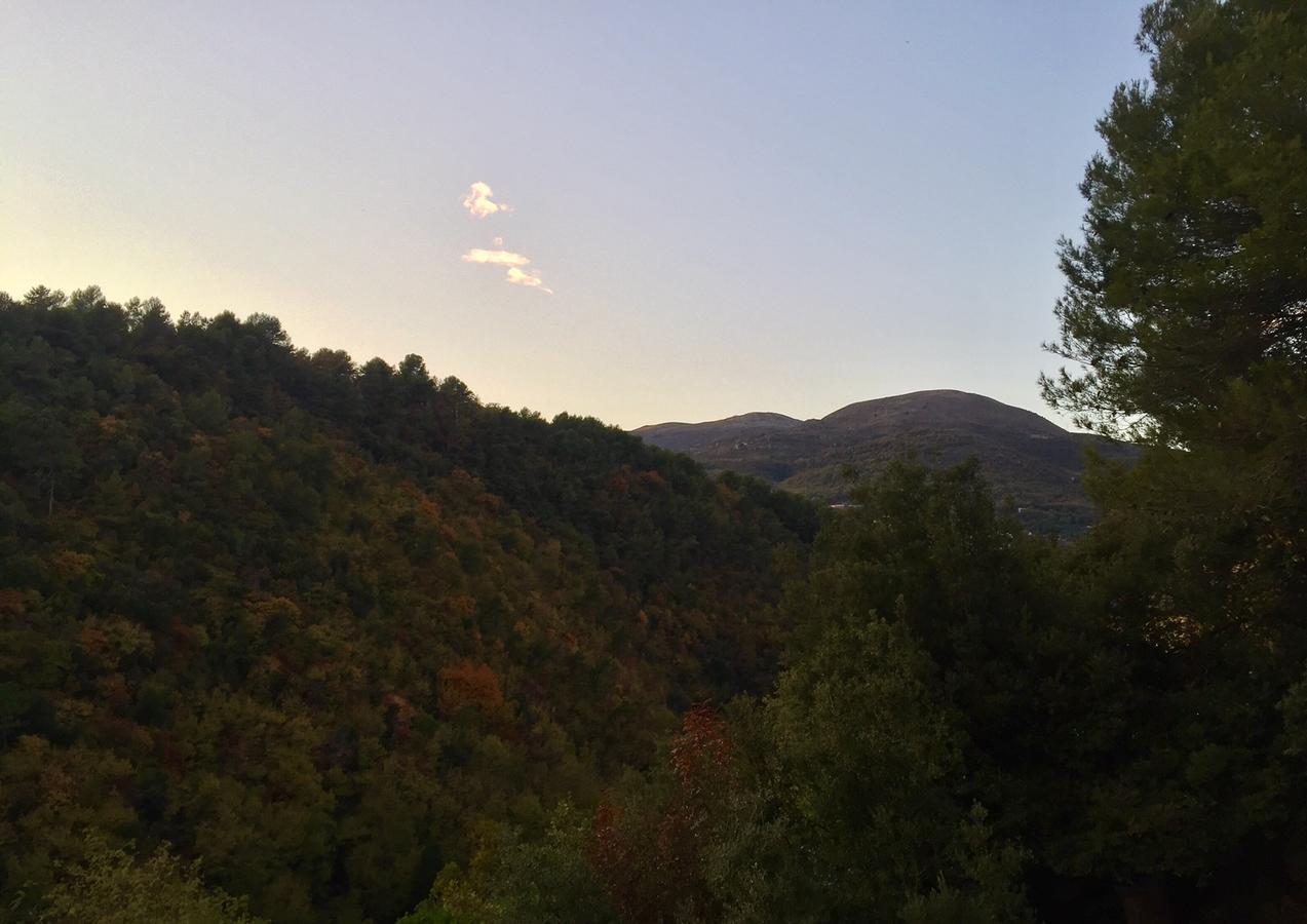 Villa Rocamar Vence Esterno foto